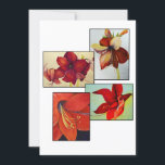 Cartão Amaryllis Collage<br><div class="desc">PRlimages é uma divisão de Pinturas de Rachel Lowry.</div>
