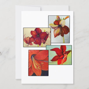 Cartão Amaryllis Collage