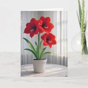 Cartão Amaryllis Vermelha em Flor no Aniversário