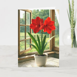 Cartão Amaryllis Vermelha em Flor no Aniversário