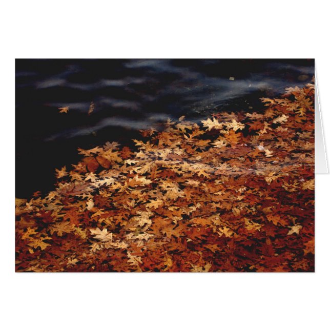 Cartão Amass (Frente horizontal)