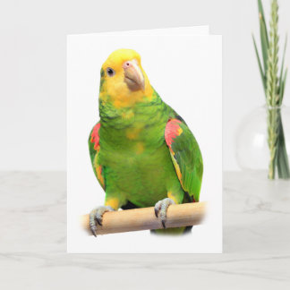 Cartão amazon Amarelo-dirigido