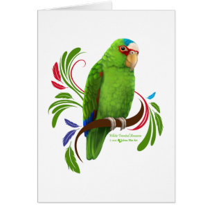 Cartão Amazônia Fronteira Branca