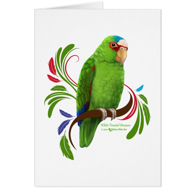 Cartão Amazônia Fronteira Branca (Frente)