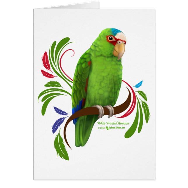 Cartão Amazônia Fronteira Branca (Frente)