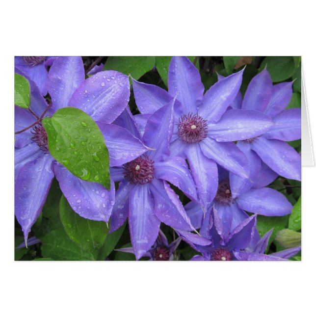 Cartão Ame-me azul - série de TBD (Frente horizontal)