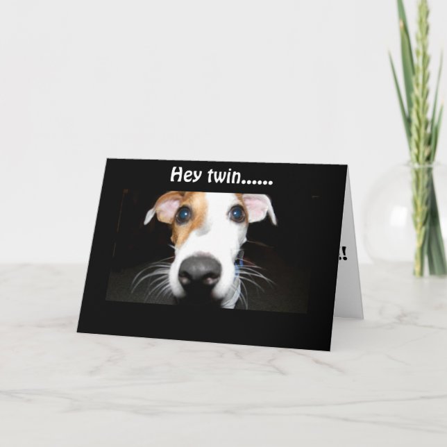 CARTÃO AME MEU GÊMEO... FELIZ ANIVERSÁRIO PARA CELEBRAR (Frente)