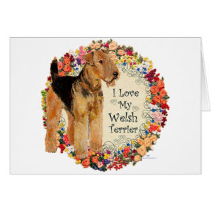 Cartão Ame My Welsh Terrier