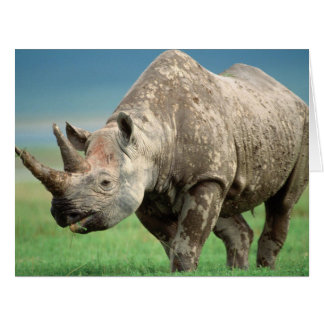 Cartão Ame o seu armário