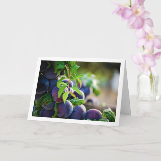 Cartão Ameixas roxas na árvore (Orquídea)