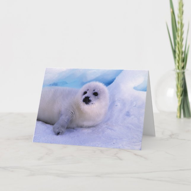 Cartão América do Norte, Canadá, Golfo de Ruas.2 (Frente)