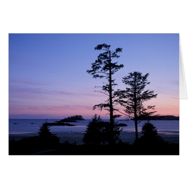 Cartão América do Norte, Canadá, ilha de Vancouver, árvor (Frente Horizontal)