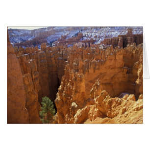 Cartão América do Norte, EUA, Utah, Bryce Canyon 2