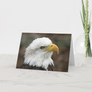 Cartão American Bald Eagle 2 Greeting Card