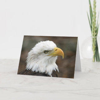 Cartão American Bald Eagle 2 Greeting Card