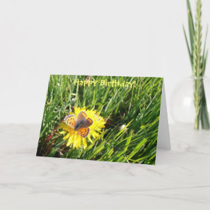 Cartão American Copper Butterfly "Happy Birthday" card