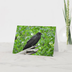 Cartão American Crow Greeting Card, Blank Inside