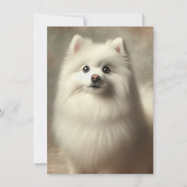 Cartão American Eskimo Dog (Frente)