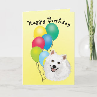 Cartão American Eskimo Dog Happy Birthday