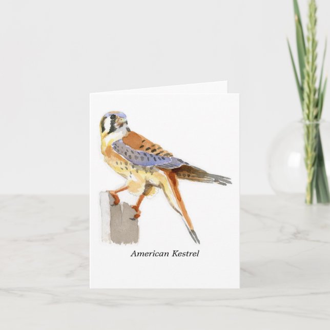 Cartão American Kestrel Note Card (Frente)