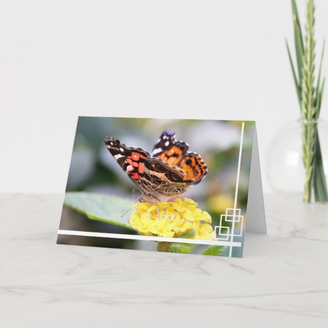 Cartão American Painted Lady Butterfly Blank Notecard (Frente)