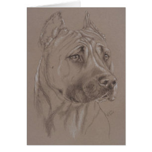 Cartão American Staffordshire Terrier