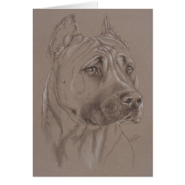 Cartão American Staffordshire Terrier (Frente)