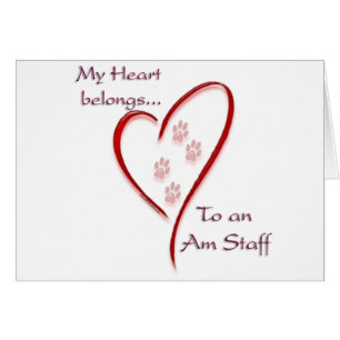 Cartão American Staffordshire Terrier Heart Pertence