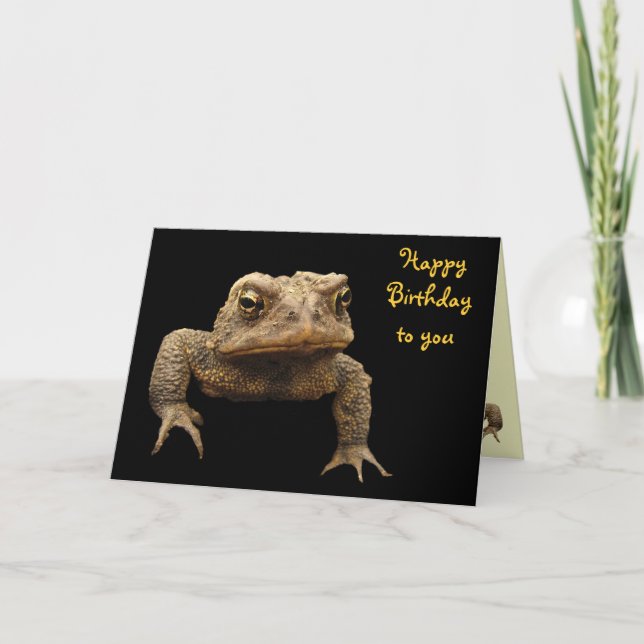 Cartão American Toad Birthday (Frente)