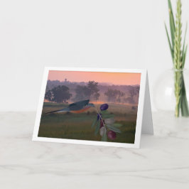 Cartão American Unity Card