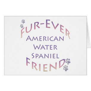 Cartão American Water Spaniel Fuore