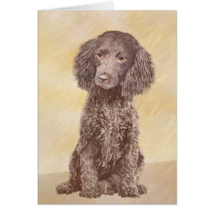 Cartão American Water Spaniel Painting - Arte Original de