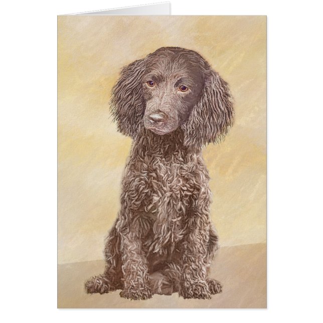 Cartão American Water Spaniel Painting - Arte Original de (Frente)