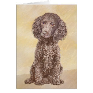 Cartão American Water Spaniel Painting - Arte Original de