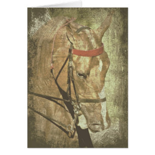 Cartão Americano Saddlebred