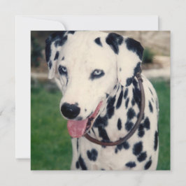 Cartão Amigo Animal de Estimação Envie Sua Própria Foto P