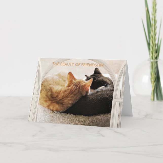 CARTÃO AMIGO ESPECIAL FELIZ ANIVERSÁRIO (Frente)