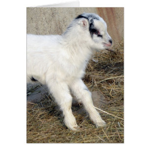 Cartão Amigo, o Kid La Mancha