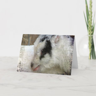 Cartão Amigo the Goat