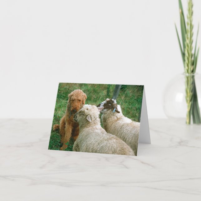 Cartão Amigos antigos (Frente)