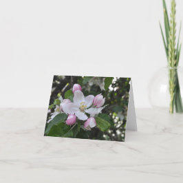 Cartão Amigos da Apple Obrigado