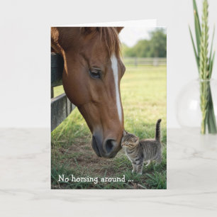 Cartão Amigos de Aniversário Cavalo com Gatinho Listrado