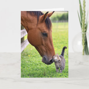 Cartão Amigos de Aniversário Cavalo com Gato Listrado