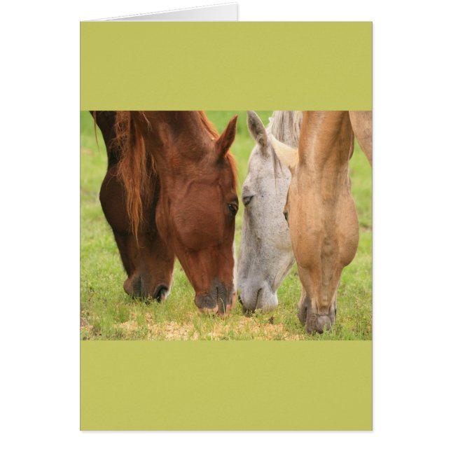 Cartão Amigos de cavalos (Frente)