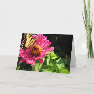 Cartão Amigos de Verão 2