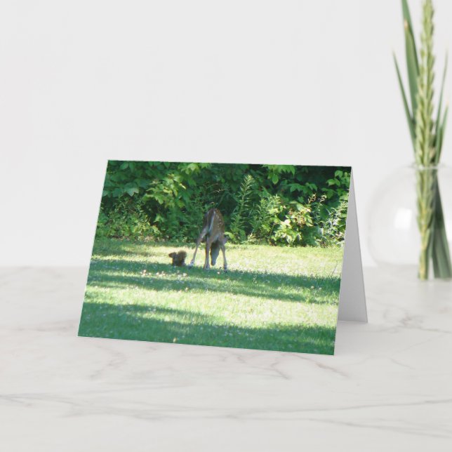 Cartão Amigos do Esquilo Fawn (Frente)