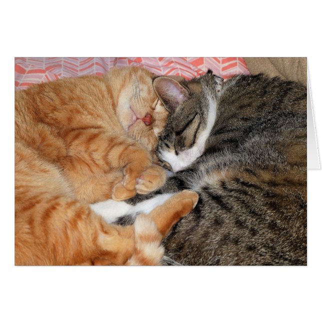 Cartão Amigos do Nap (Frente Horizontal)