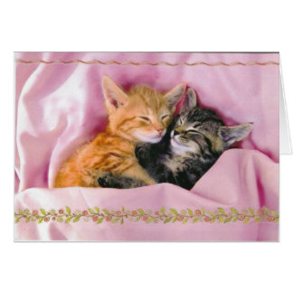 Cartão Amigos Dormidos; Amaldiçoados