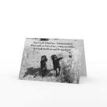 Amigos - Laboratório Preto