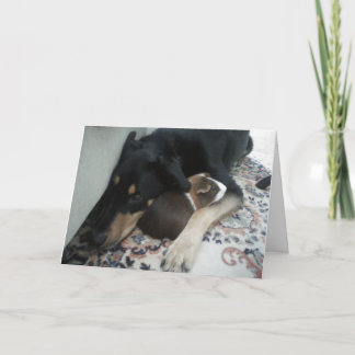 Cartão Amigos para sempre